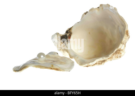 An open Oyster with a pearl, Oyster shell on white/grey background / Cut Out Stock Photo