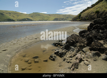 Le Bons Bay, Banks Peninsula, New Zealand Stock Photo