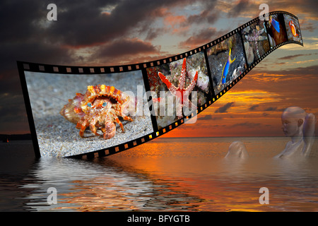 Photo composite of a  Woman and Pictures of Underwater Creatures in the Sunset in Northern Sulawesi, Indonesia Stock Photo