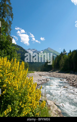 Stillach Valley near Oberstdorf, Allgaeu, Bavaria, Germany, Europe Stock Photo