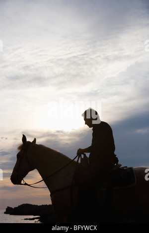 Silhouette of a man riding his horse on the beach at sunset Stock Photo ...