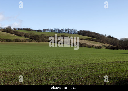 Chiltern Hills near Hambleden Thames Valley Buckinghamshire Stock Photo