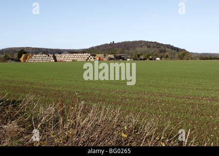 Chiltern Hills near Hambleden Thames Valley Buckinghamshire Stock Photo