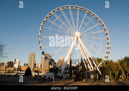 The Wheel of Brisbane, Southbank, Brisbane, Queensland, Australia Stock Photo