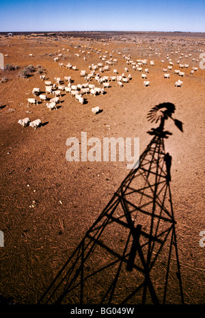 Sheep during drought, Australia Stock Photo