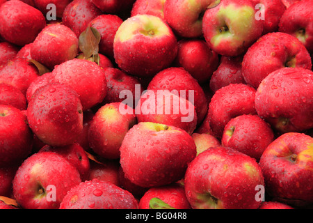 Cold Hollow Cider MIll, Waterbury, Vermont Stock Photo