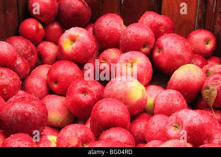 Cold Hollow Cider MIll, Waterbury, Vermont Stock Photo