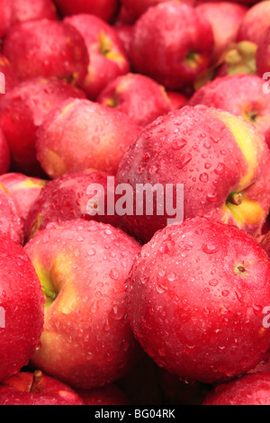 Cold Hollow Cider MIll, Waterbury, Vermont Stock Photo