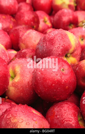 Cold Hollow Cider MIll, Waterbury, Vermont Stock Photo