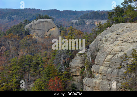 Sandstone cliffs in the Red River Gorge Geological Area in the Daniel Boone National Forest of eastern Kentucky, USA. Stock Photo