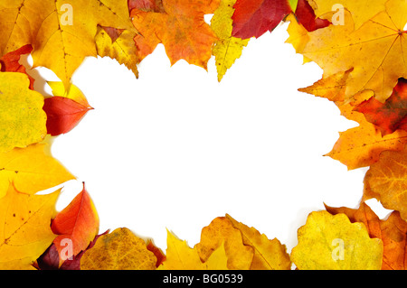 Frame made from fall leaves Stock Photo