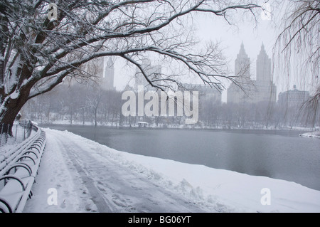 Snow covered trees and benches in Central Park, New York City, New York State, United States of America, North America Stock Photo