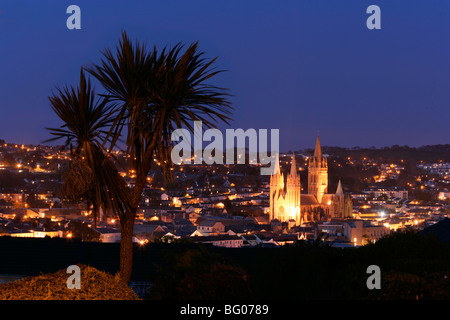 Truro Cathedral, Palm Tree, Dusk, Cornwall, England Stock Photo