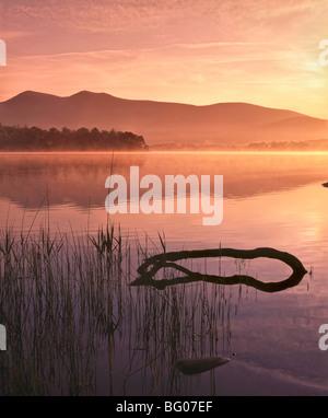 Mist rising on Derwent Water at dawn, Lake District National Park, Cumbria, England, United Kingdom, Europe Stock Photo