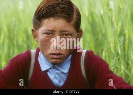 Portrait of red haired young boy in wheat field Leh, Ladakh, India Stock Photo