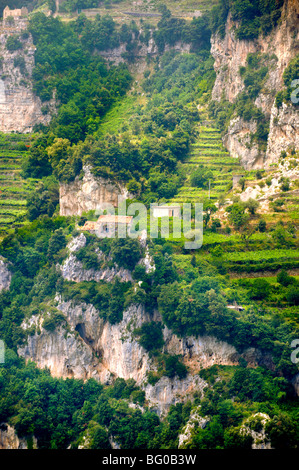 Amalfi vineyards in the high mountains of the Amalfi coastal range Stock Photo