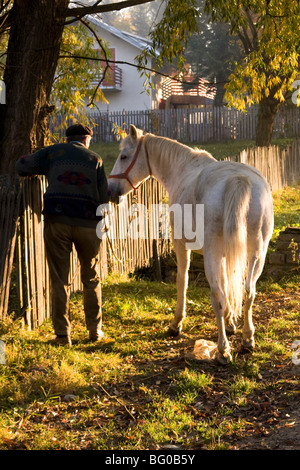Romania, Transylvania, A farmer and his horse near an old wooden picket fence Stock Photo