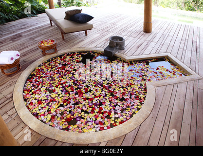 Hot spring pool with flowers at Brilliant Spa and Resort in Kunming, China, Asia Stock Photo