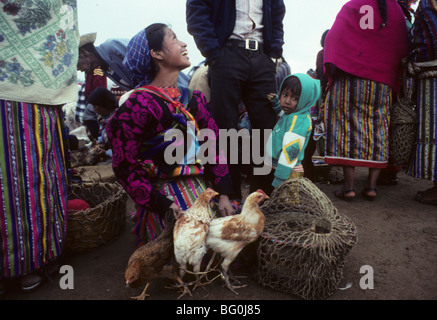 Chickens for sale in the famous Friday market in San Francisco el Alto, Guatemala Stock Photo