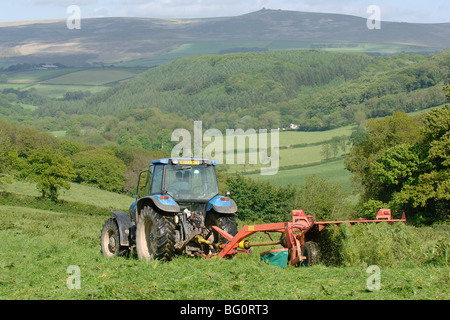 turning grass for silage production Stock Photo