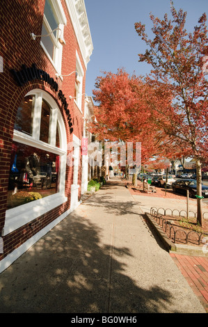 Main Street, East Hampton, the Hamptons, Long Island, New York State, United States of America, North America Stock Photo