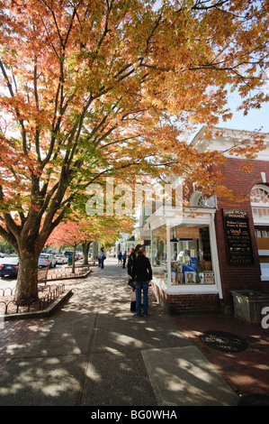 Main Street, East Hampton, the Hamptons, Long Island, New York State, United States of America, North America Stock Photo