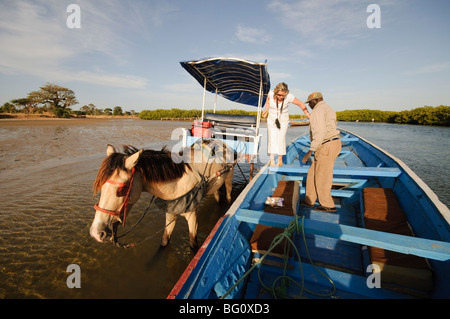 Delivering passangers to pirogue or fishing boat on the backwaters of the Sine Saloum delta, Senegal, West Africa, Africa Stock Photo