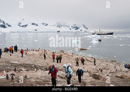 Tourists and gentoo penguins, Neko Harbour, Antarctic Peninsula, Antarctica, Polar Regions Stock Photo