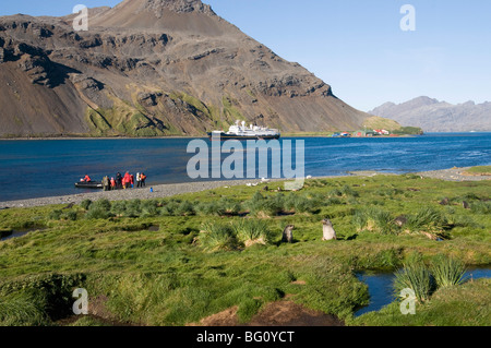 Grytviken, South Georgia, South Atlantic Stock Photo