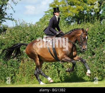 side saddle lady, galloping her show hunter Stock Photo