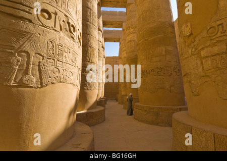 Hieroglyphics on great columns in the Temple of Karnak near Luxor, Thebes, UNESCO World Heritage Site, Egypt, North Africa Stock Photo
