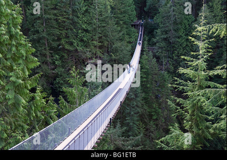 Tourists in Capilano Suspension Bridge and Park, Vancouver, British Columbia, Canada, North America Stock Photo
