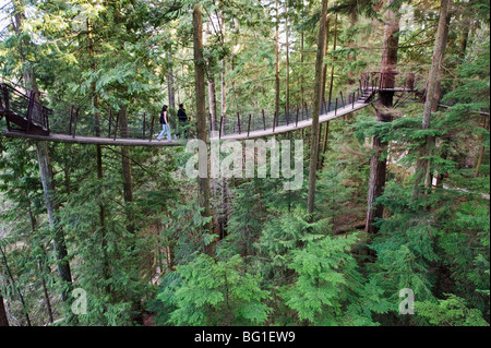 Tourists on a treetop walkway in Capilano Suspension Bridge and Park, Vancouver, British Columbia, Canada, North America Stock Photo