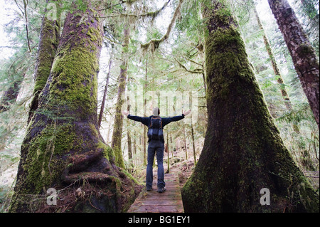 A hiker in the old growth forest at Carmanah Walbran Provincial Park, Vancouver Island, British Columbia, Canada, North America Stock Photo