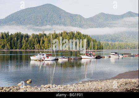Boats moored at Tofino, Pacific Rim National Park Reserve, Vancouver Island, British Columbia, Canada, North America Stock Photo