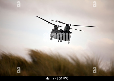 CH-47 Chinook helicopter in flight for the RAF at Donna Nook, Somercoates, lincolnshire, England Stock Photo