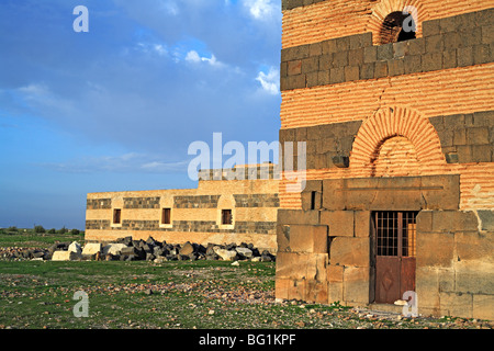 Byzantine church and palace, Qasr ibn Wardan (564), Syria Stock Photo