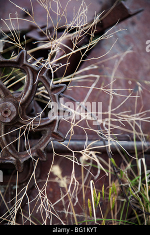 Farm equipment rusting in a field. Stock Photo