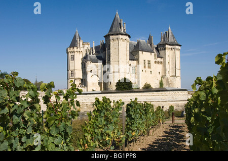 Vineyards around the Chateau de Saumur, Maine-et-Loire, Pays de la Loire, France, Europe Stock Photo