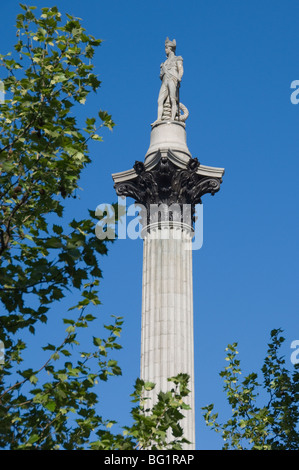 Nelsons column, Trafalgar Square, London, England, United Kingdom, Europe Stock Photo