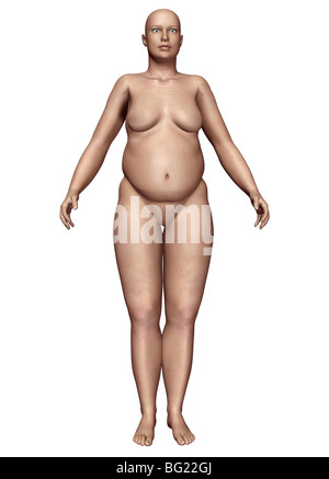 Illustration of a female human body type: endomorph Stock Photo