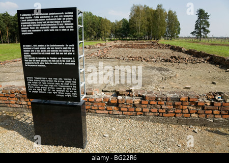 Information notice / sign / memorial near gas chambers / crematoria IV. Auschwitz II - Birkenau Nazi concentration camp, Poland Stock Photo