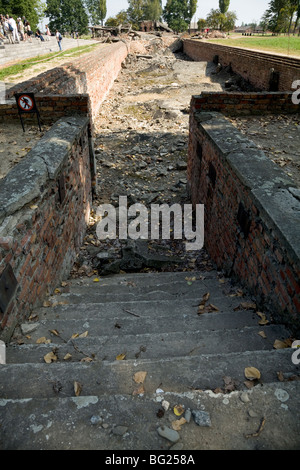 Steps leading down to the demolished gas chambers at Birkenau (Auschwitz II - Birkenau) Nazi death camp in Oswiecim, Poland. Stock Photo