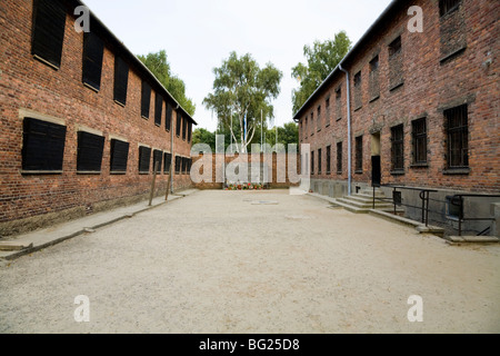 Execution yard between accommodation blocks 10 11 where prisoners were shot / executed by firing squad.  Auschwitz camp. Poland Stock Photo