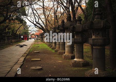 TOKYO - NOVEMBER 24: Ueno Toshogu shrine on November 24, 2009 in Ueno Park, Tokyo, Japan. Stock Photo