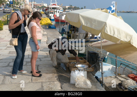 Greece. Zakynthos. Zante. Greek island. October. Fish being sold directly from boats moored at harbour in Zakinthos Town. Stock Photo