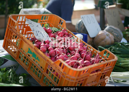 Orange crate displaying fresh pink radishes for sale on a market stall, at a Spanish food market Stock Photo