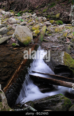 Noah Bud Ogle place hollowed-log flume divert water flow to tub mill LeConte Creek Great Smoky Mountain National Park USA Stock Photo