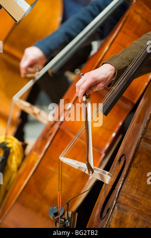 Double Bass Stock Photo