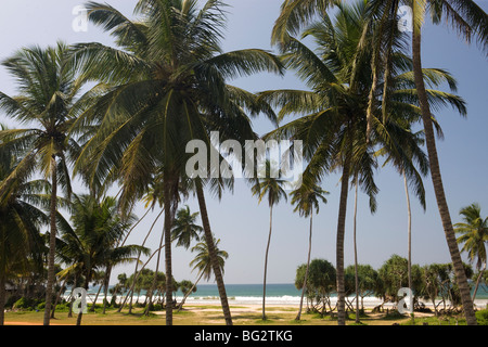 Bentota Beach, Sri Lanka Stock Photo